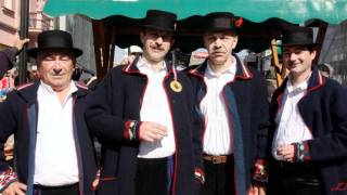 MVS Becarine - Slavonijo koliko te volim