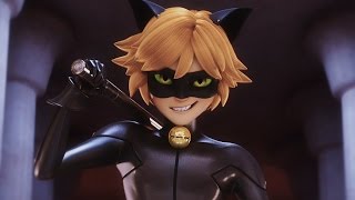 V.I.P [CAT NOIR]