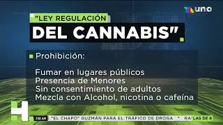 Alistan Ley para regular marihuana en México