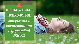 Пренатальная психология: открытия и воспоминания о дородовой жизни - проф. Григорий Брехман