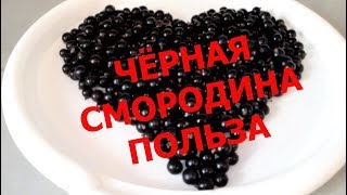 ЧЕРНАЯ СМОРОДИНА ПОВЫШАЕТ ИММУНИТЕТ, ОТ ГИПЕРТОНИИ, ОТ ОТЕКОВ, ПРИ ДИАБЕТЕ, ДЛЯ СОСУДОВ !!!