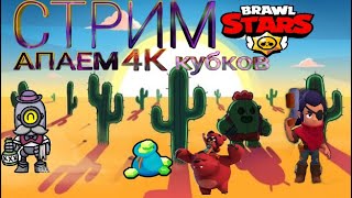 играем в бравл старс!!!! апаем 4к кубков