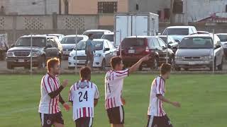 FUTBOL LIGA DE LOS ANIMALES GRAN FINAL DE COPA 2019 CHIVAS VS TOROS