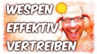 Wespenfalle selber bauen - Wespen vertreiben (Vegan & Tierlieb) [VEGAN]