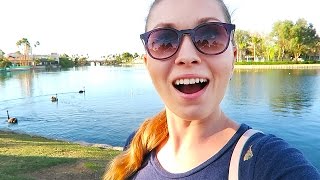 ВЛЯПАЛАСЬ В КАКАШКИ! // ЧТО С МАШИНОЙ?