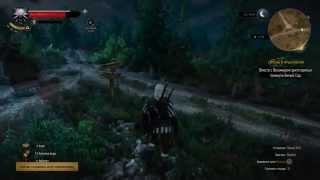 The Witcher 3: Wild Hunt #10 - Ценный груз