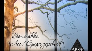 Лес / Среда деревьев