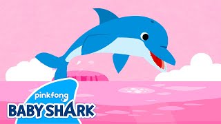 Click Click Dolphin | Sea Animals Song | Baby Shark and Sea Animals 