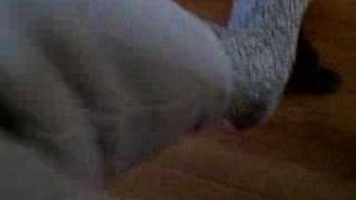 jump higher secret- foot rub