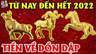 Tiên Tri Chỉ Rõ Từ Nay Đến Hết 2022 3 Con Giáp Trúng Quả Tiền Về Dồn Dập Xóa Hết Nợ | TỬ VI TÀI LỘC