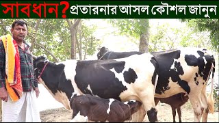সতর্ক হয়ে গাভী কিনুন প্রতারণা চক্র থেকে সাবধান পরামর্শ জেনে রাখুন
