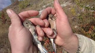 Жара в ловли отличный день