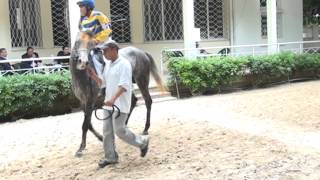 Course N4 - 01-05-2013 - Magturf.com - Hippodrome de Ksar Said