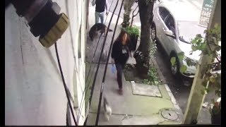 No dejes bolsitas con caca!