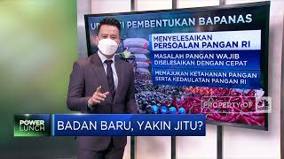 Badan Pangan Baru, Yakin Jitu?