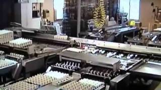 Modern-Matic 50 CPH Egg Grading System