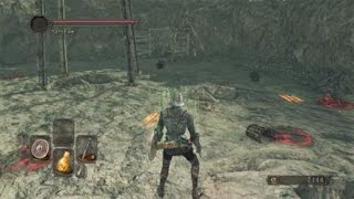 DARK SOULS™ II: Scholar of the First Sin_swordsman finds 1st crystal lizard in harvest valley