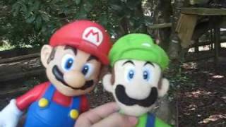 Super cute mario bros:The real mario