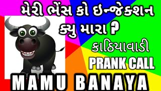 GUJARATI PRANK CALL I MAMU - BHENS KO INJECTION I FUNNY AUDIO I GUJARATI COMEDY I MAMU FAME VINOD I