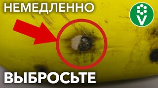 Если увидите ТАКУЮ ПЛЕСЕНЬ на овощах и фруктах, немедленно выбросите их!
