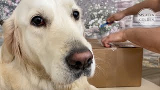 Unpack and try the taste Russian natural dog treats. Распаковочка посылки от ПёсикРу.