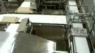 Pelagic Factory using Atlantic Auto Bag Filler