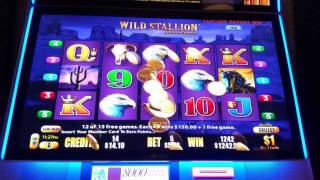 Pokies win - Wild stallion Gold jackpots