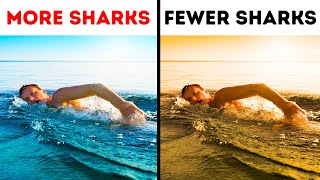 The Only Way to Survive When You See a Shark