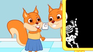 Famille d'Écureuil - Radiographie Du Squelette Animé 2022 en Français