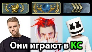 Кто из Знаменитостей играет в КС Го? Что в инвентаре и какие звания?