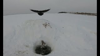 Удачно заехал на рыбалку..07.12.2019