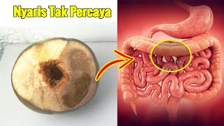 SIMAK BAIK-BAIK... MINUM AIR KELAPA SELAMA SEMINGGU, INI YANG TERJADI