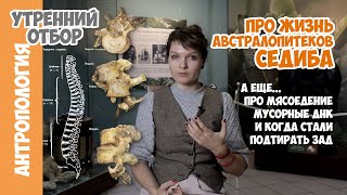 Новые находки австралопитека седиба и ответы на вопросы. Елена Сударикова
