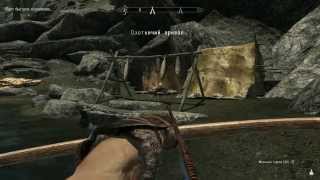 Прицельное прохождение  TES Skyrim #1 Дикая охотница