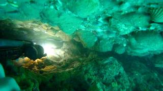 VIDEO DE CORVALL
