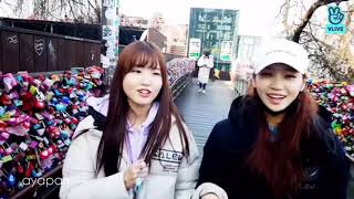 『 Chaewon × Hitomi 』