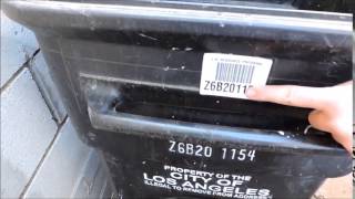 "Kirk's Kartz" Part 2