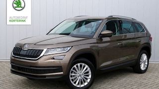 Škoda Kodiaq 1.4 TSI Ambition Business 7 zitplaatsen