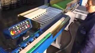 OMGA FJL 180 SA Finger Jointing Line