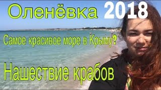 Оленевка 2018. Самое живописное море в Крыму.