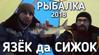 РЫБАЛКА 2018 / ЯЗЕК ДА СИЖОК / БРАТЬЯ ПРИХОДЬКО