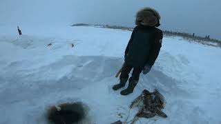 Рыбалка и КРАШ Тесты 11.01.2020
