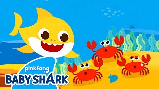 Baby Shark Went On a Trip | Baby Shark Dance and Song | Baby Shark Sing Along 