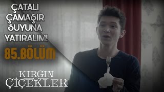Güney’in Zehra ile imtihanı! - Kırgın Çiçekler 85.Bölüm