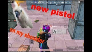 How to get free Companion in pubg Mobile 0.12.5  update and new gun with dragon gamer