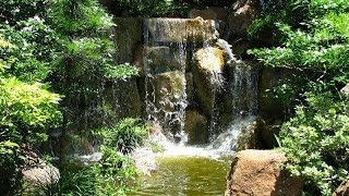 Morikami Museum and Japanese Gardens (Мориками Музей и японские сады) GoPro HERO3 . Miami