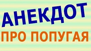 АНЕКДОТ ПРО ПОПУГАЯ