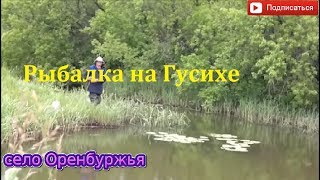 Рыбалка на Гусихе