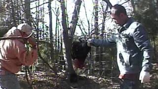 Cockfighting and Religion