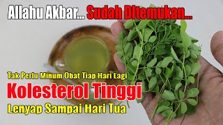 ALLAH TELAH TUNJUKKAN... CUMA PAKAI INI, KOLESTEROL TINGGI AMBROL SECARA ALAMI